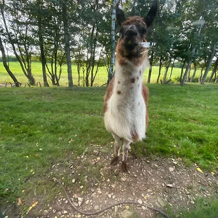 Holiday home Klondike *